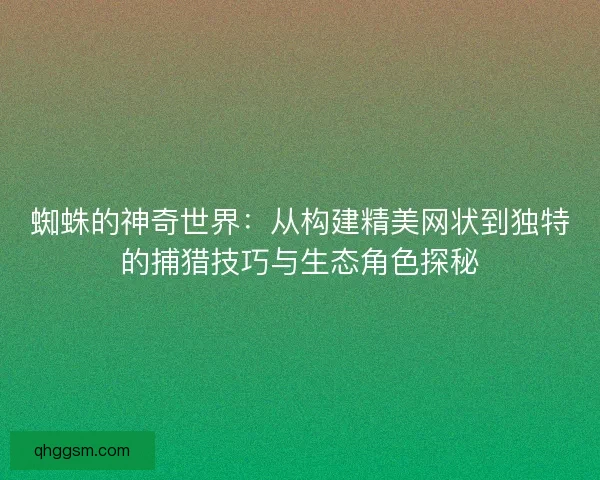 蜘蛛的神奇世界：从构建精美网状到独特的捕猎技巧与生态角色探秘